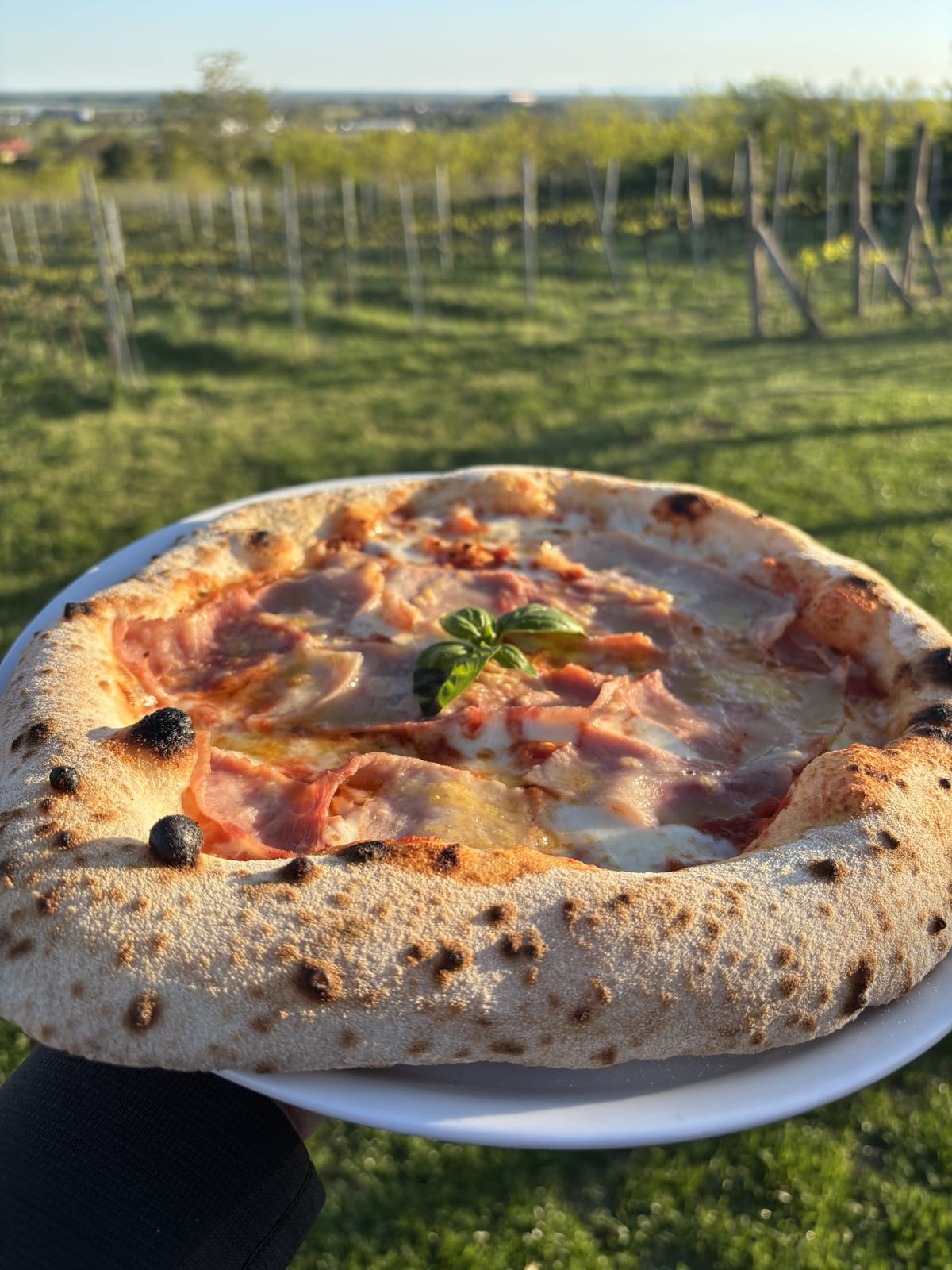 Aranycica Pizzéria – étel és hangulat Siklóson